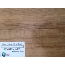 Sàn Gỗ Inovar DV879