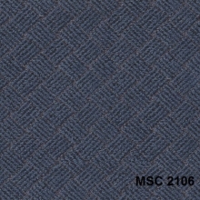 MSC2106