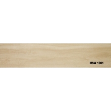MSW1001