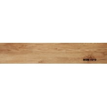 MSW1019