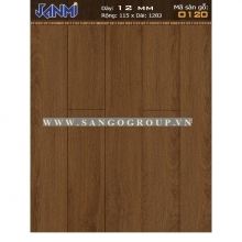 JANMI - O120