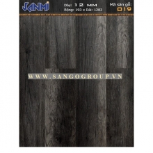 JANMI - O19