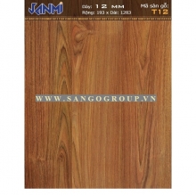 JANMI - T12