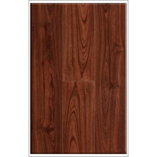 Robina - T11