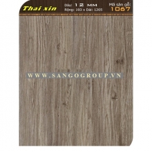 Thaixin VF-1067