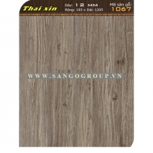 Thaixin VF-1067